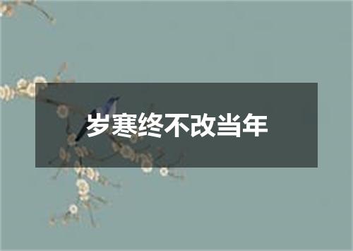 岁寒终不改当年