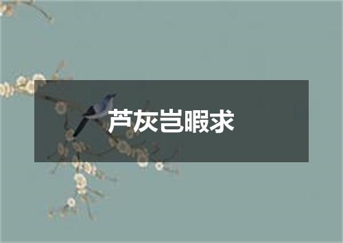 芦灰岂暇求