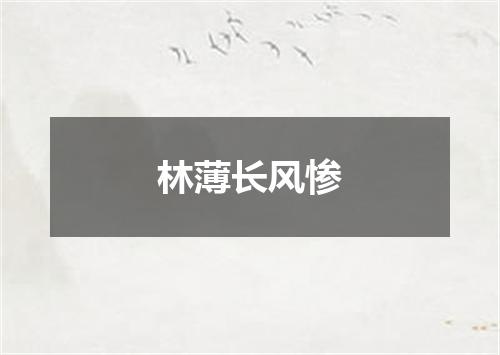林薄长风惨