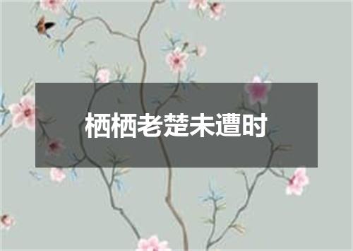 栖栖老楚未遭时