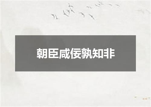 朝臣咸佞孰知非