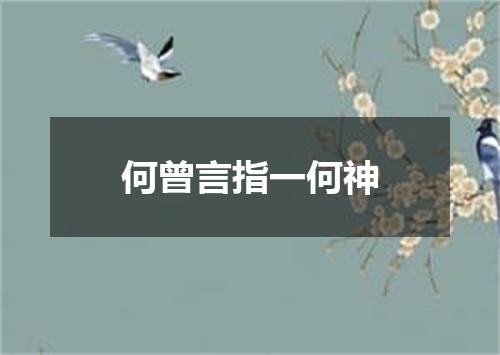 何曾言指一何神