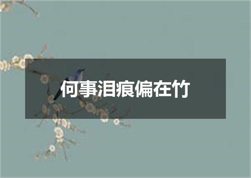 何事泪痕偏在竹