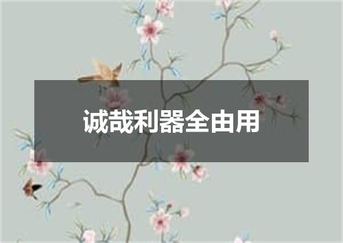 诚哉利器全由用