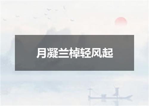 月凝兰棹轻风起