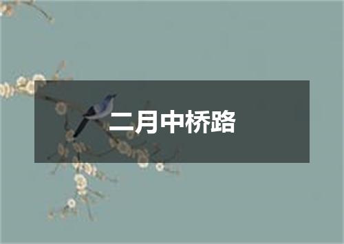 二月中桥路
