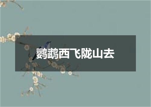 鹦鹉西飞陇山去