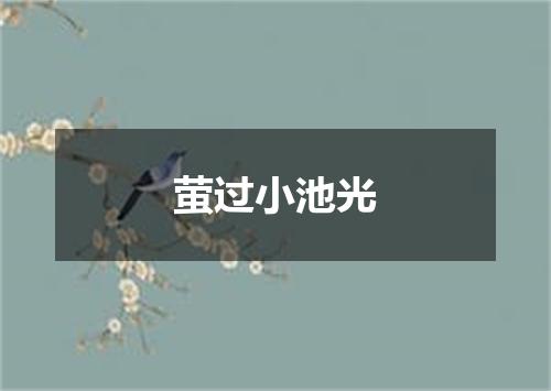 萤过小池光