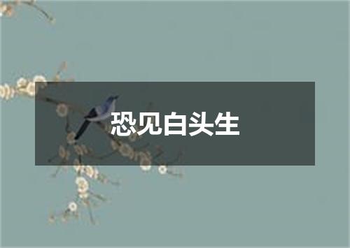 恐见白头生