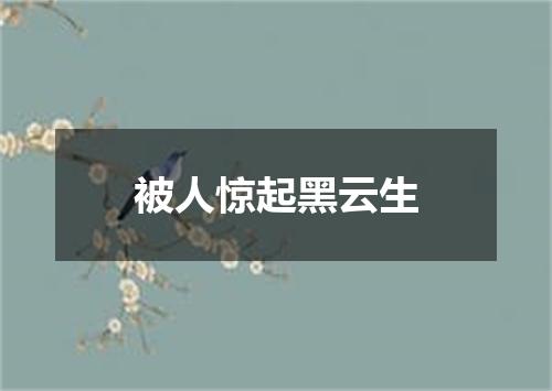 被人惊起黑云生