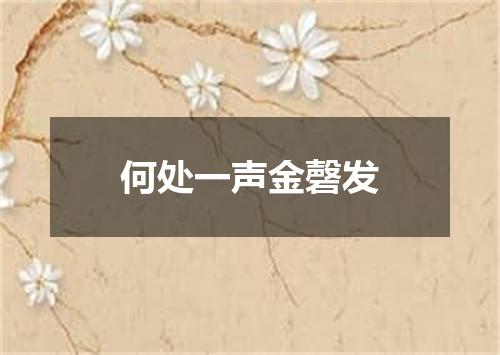 何处一声金磬发