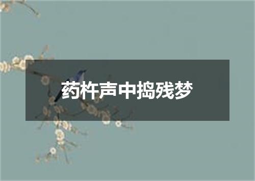 药杵声中捣残梦