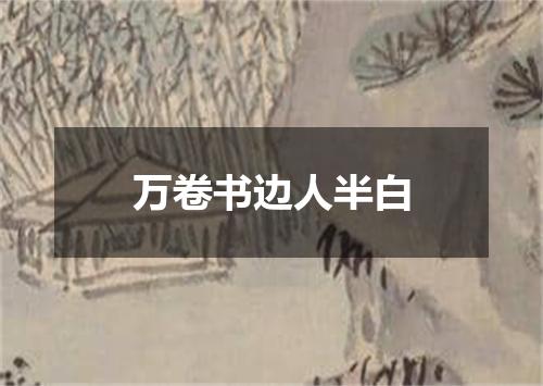 万卷书边人半白