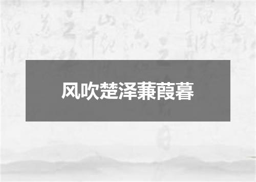 风吹楚泽蒹葭暮