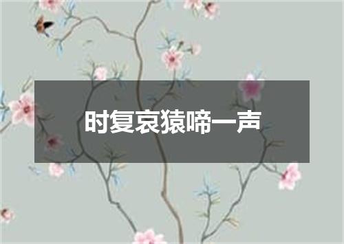时复哀猿啼一声