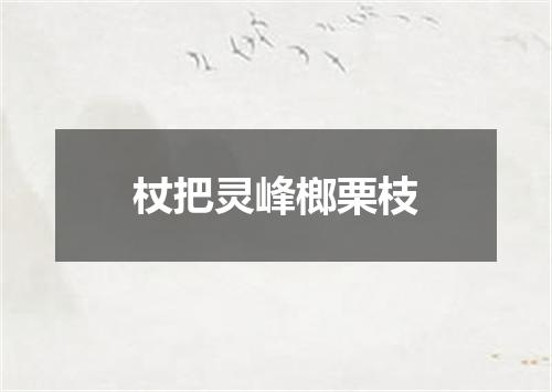 杖把灵峰榔栗枝