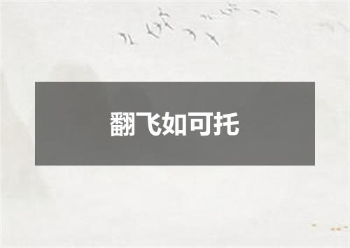 翻飞如可托