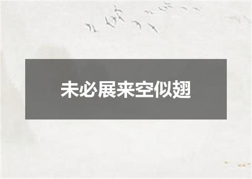 未必展来空似翅