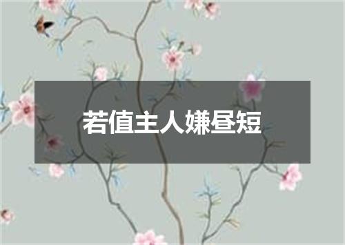 若值主人嫌昼短
