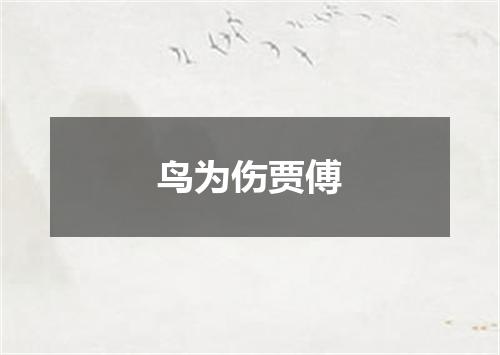 鸟为伤贾傅