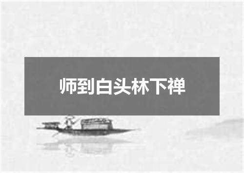 师到白头林下禅