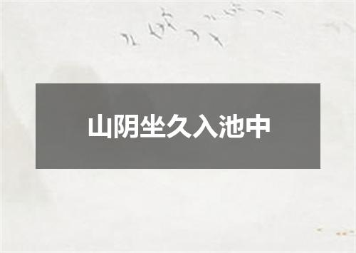 山阴坐久入池中