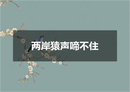 两岸猿声啼不住