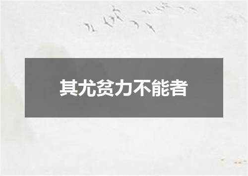 其尤贫力不能者