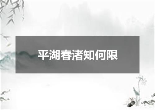 平湖春渚知何限