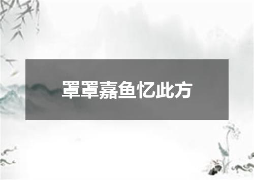 罩罩嘉鱼忆此方