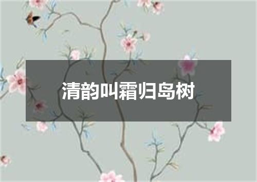 清韵叫霜归岛树