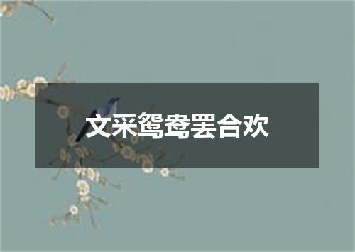 文采鸳鸯罢合欢