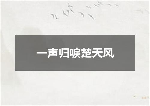 一声归唳楚天风