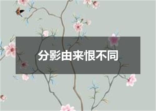 分影由来恨不同