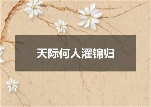 天际何人濯锦归