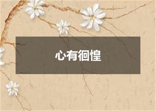心有徊惶