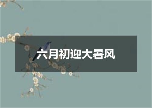 六月初迎大暑风
