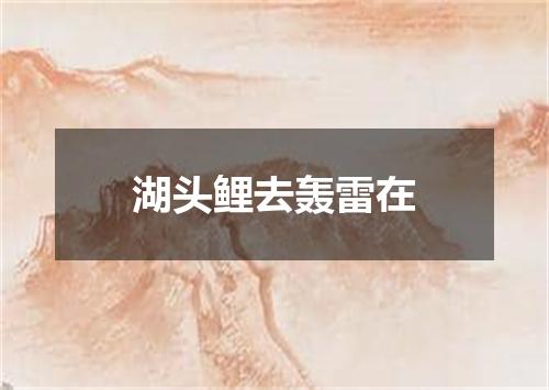 湖头鲤去轰雷在