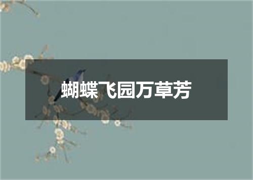 蝴蝶飞园万草芳