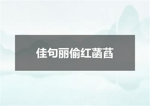 佳句丽偷红菡萏