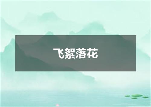 飞絮落花