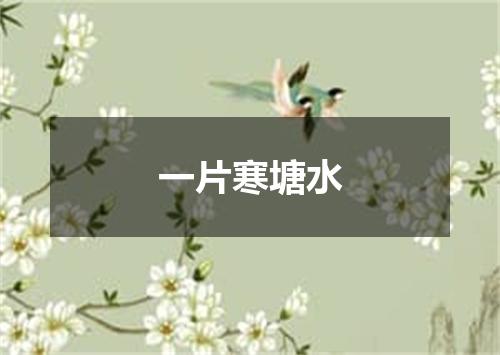 一片寒塘水
