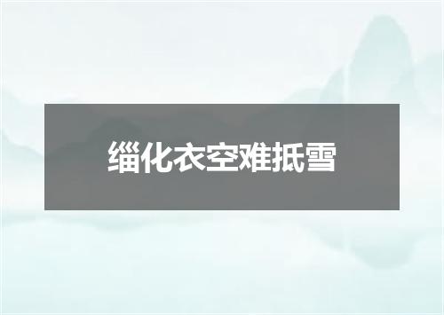 缁化衣空难抵雪