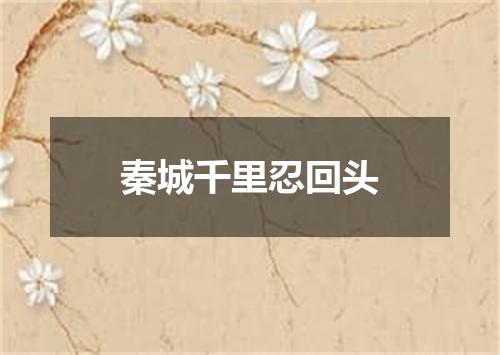 秦城千里忍回头