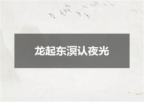 龙起东溟认夜光