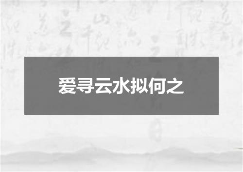 爱寻云水拟何之
