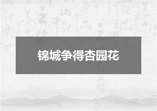 锦城争得杏园花