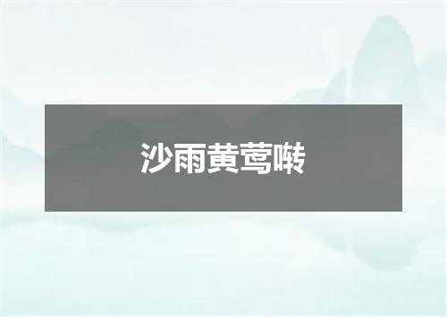 沙雨黄莺啭