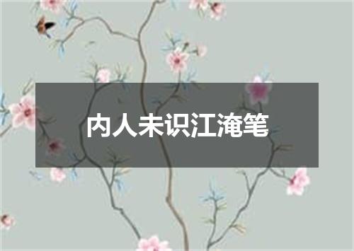 内人未识江淹笔