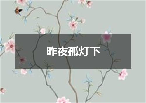 昨夜孤灯下